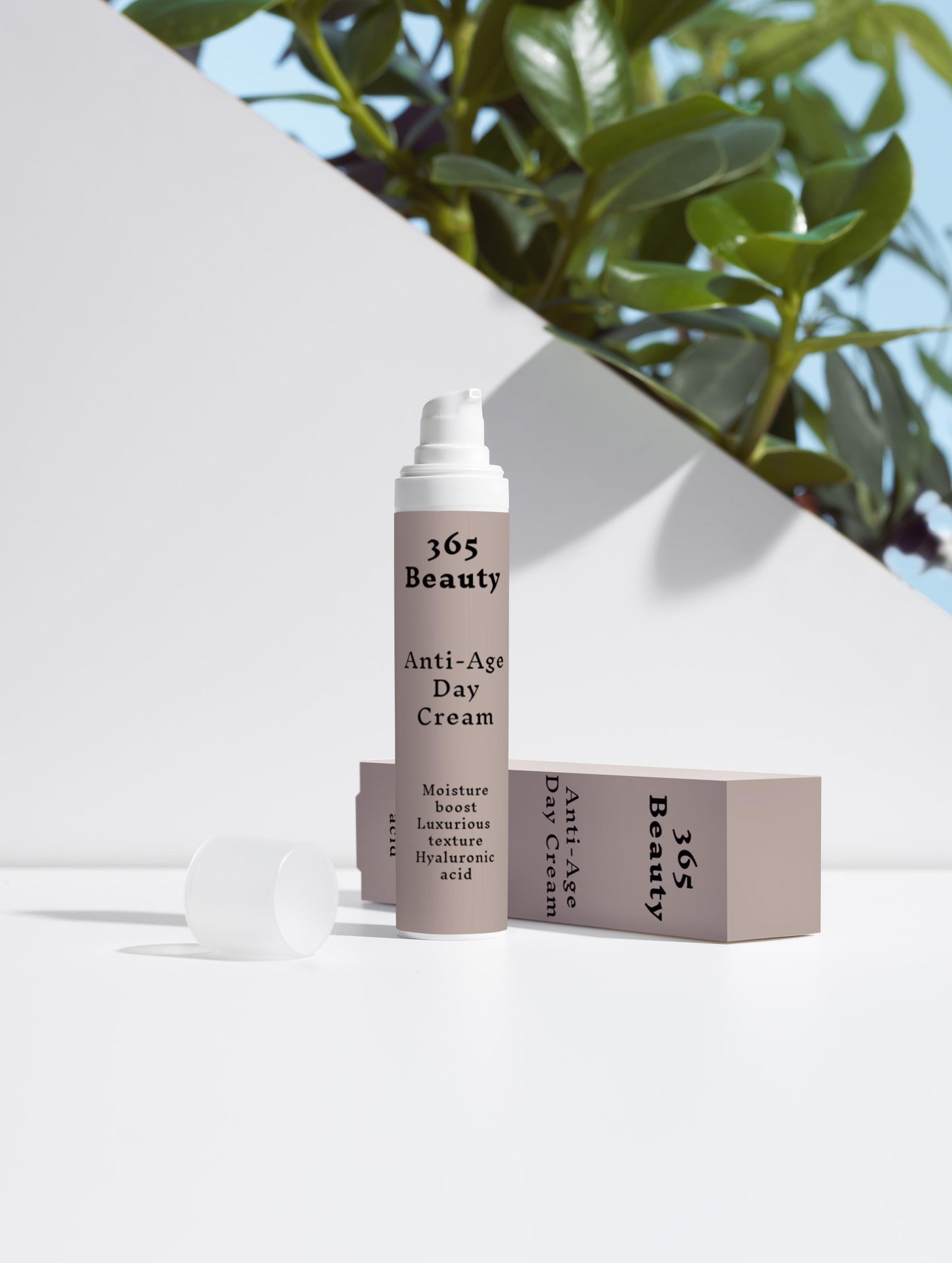 Anti-Ageing Collection Box